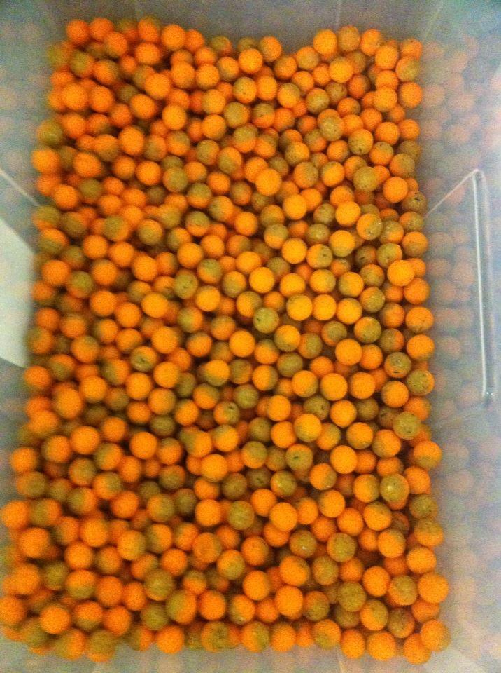 pescuit - 696784759715391296331648342639n.jpg